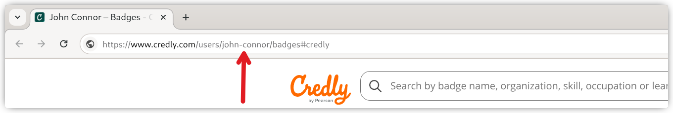Browser address bar